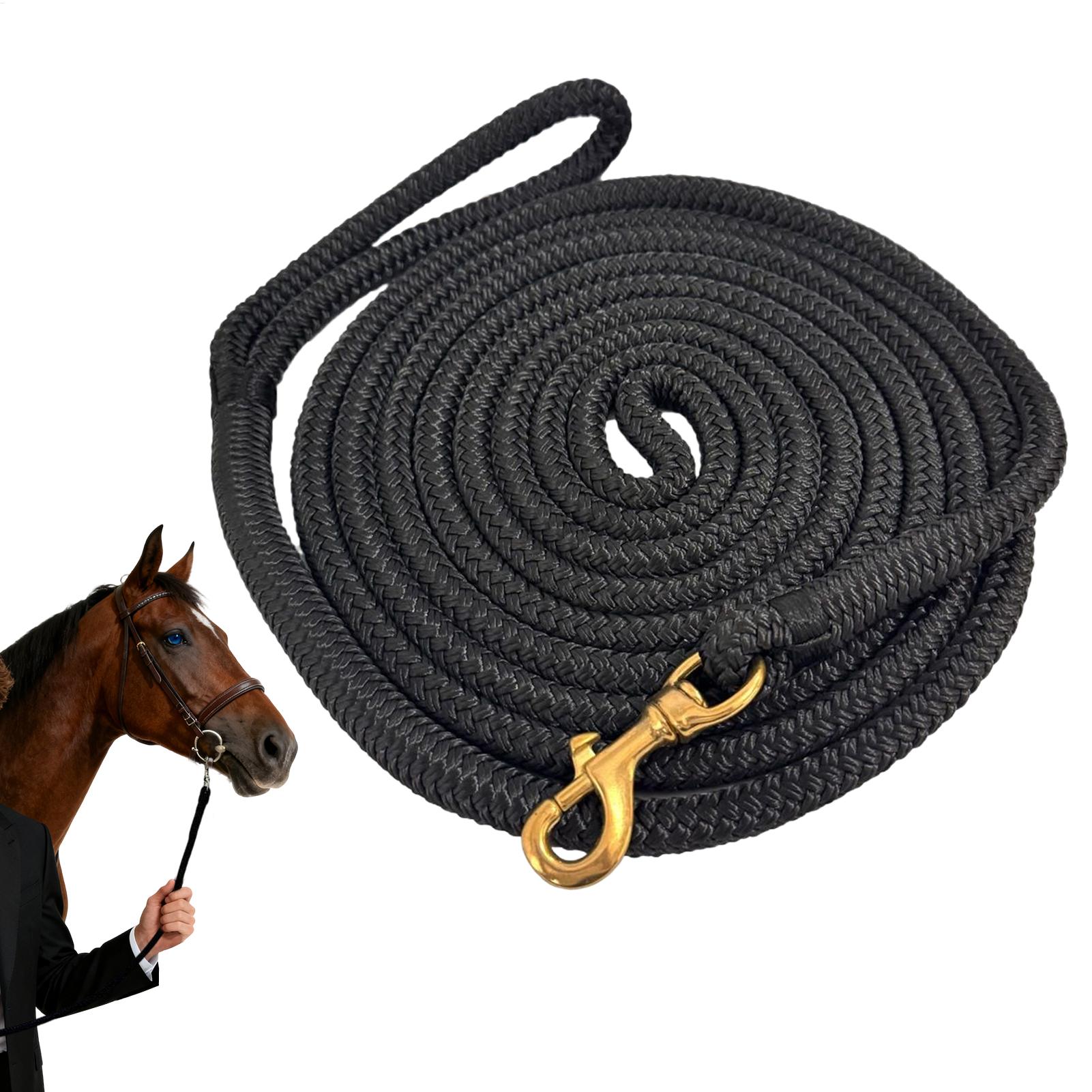 Lunge Line Horse - At koşu ipi performans at ipi